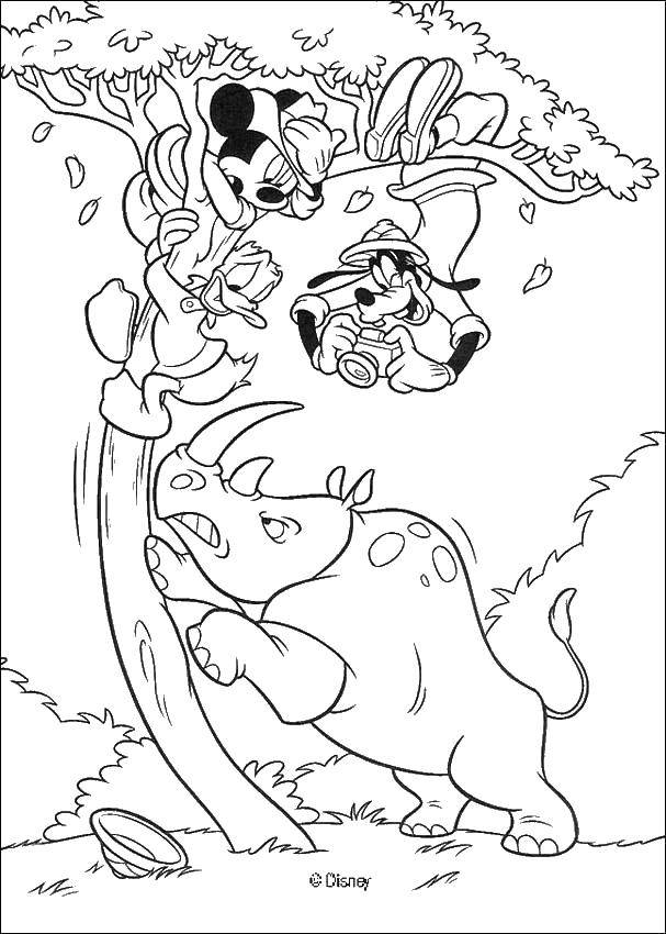 Название: Раскраска Нападение носорога. Категория: Диснеевские мультфильмы. Теги: Дисней, Микки Маус, Дональд Дак, Гуфи.