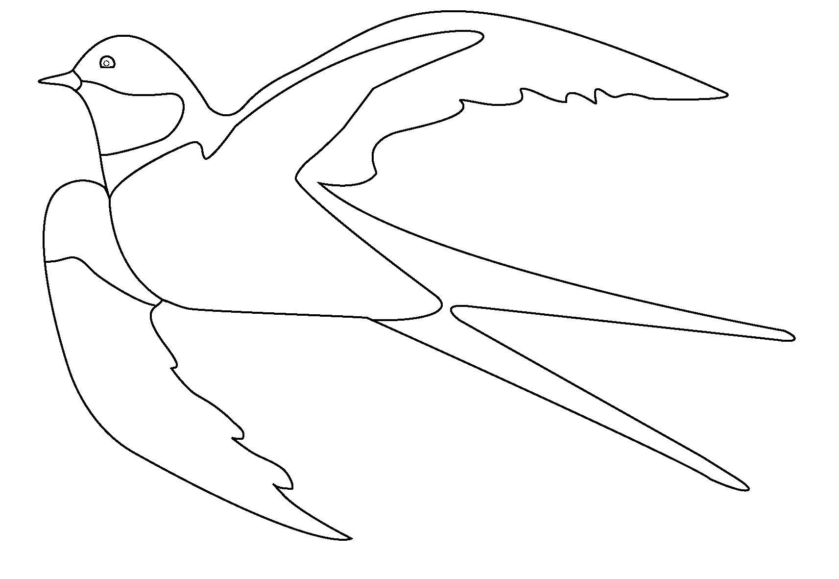 Coloring Soaring swallow. Category swallow . Tags:  Birds.