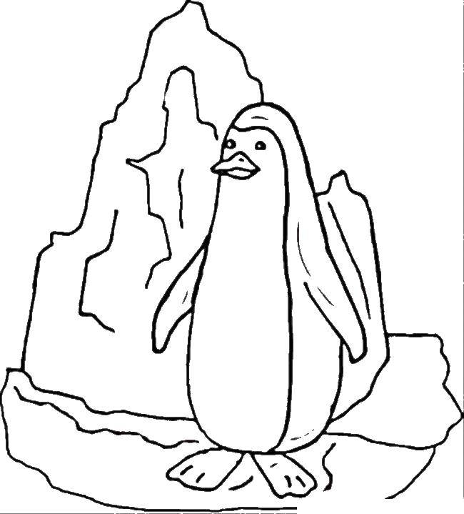 Название: Раскраска Пингвин на айсберге. Категория: раскраски. Теги: Айсберг, пингвин.