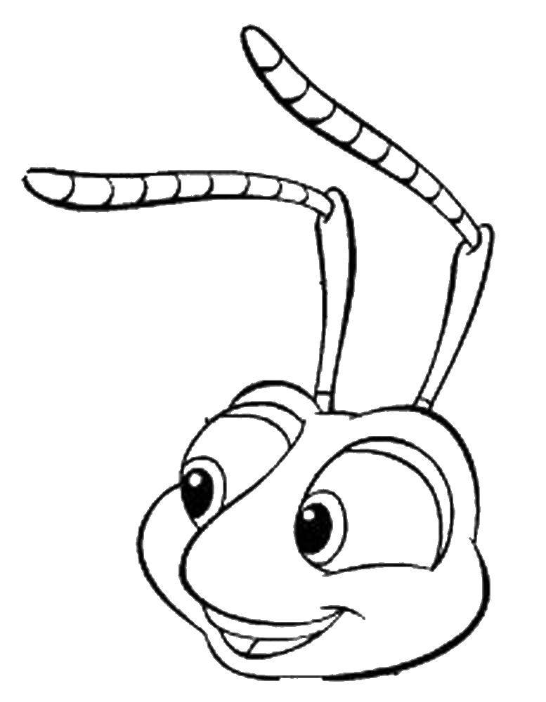 Coloring Happy ant. Category little ones. Tags:  Insects, ant.