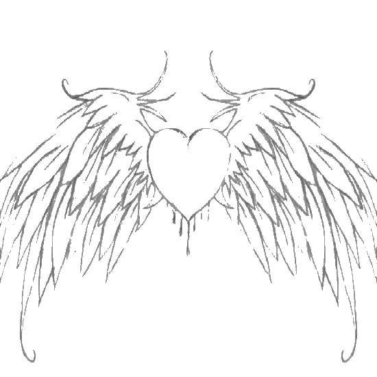 Название: Раскраска Сердце и крылья. Категория: раскраски. Теги: сердце, крылья, перья.