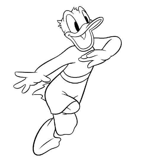 Coloring Duck shorts. Category cartoons. Tags:  duck, shorts.