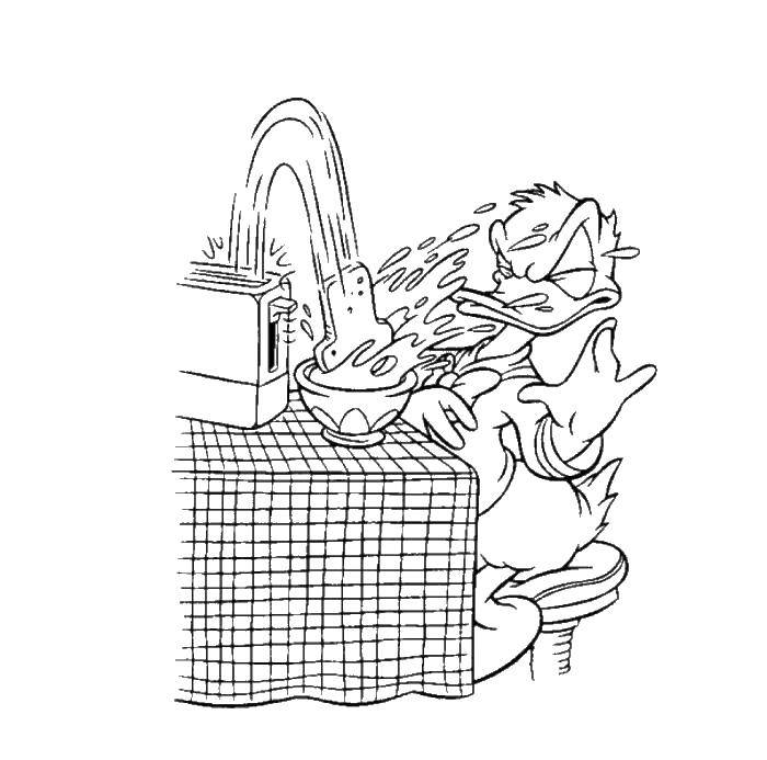 Coloring Morning Donald. Category Disney coloring pages. Tags:  Disney, Ducktales, Donald Duck.