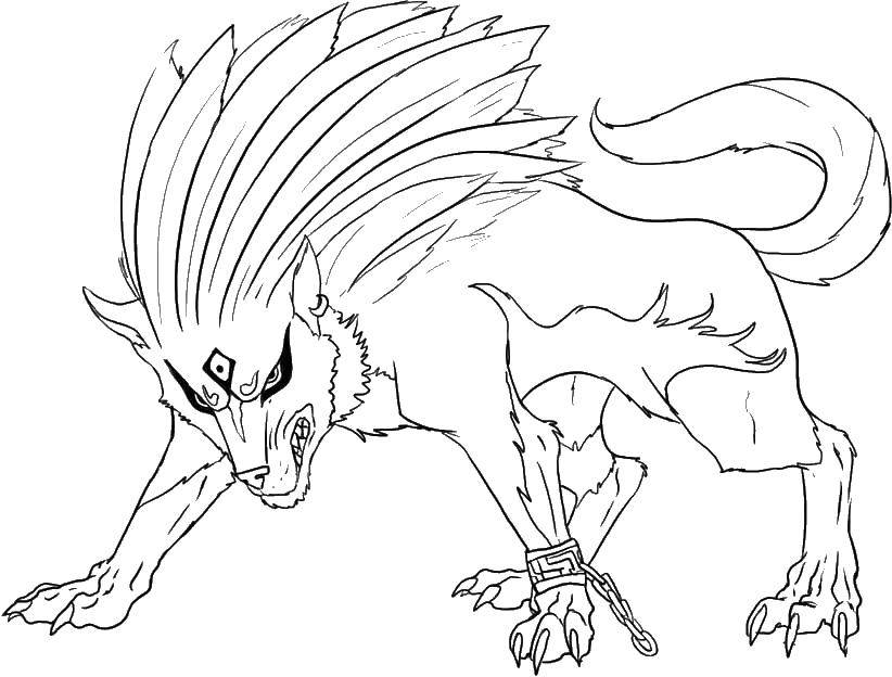 Coloring Wolf. Category anime. Tags:  anime wolf coloring pages.