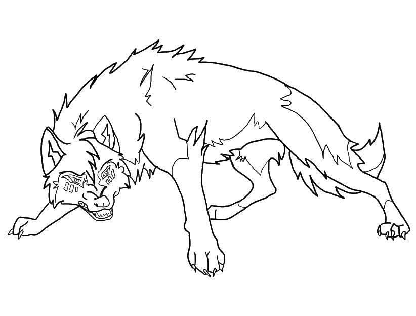 Coloring Wolf. Category anime. Tags:  anime wolf coloring pages.
