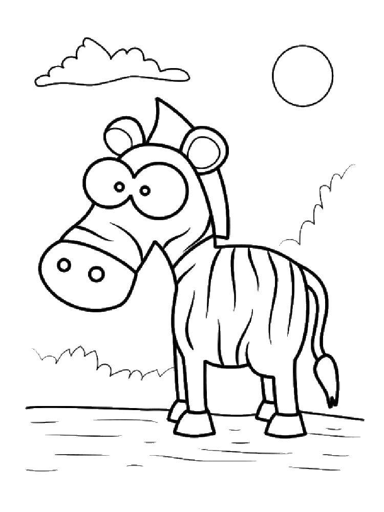 Название: Раскраска Зебра на солнышке. Категория: зебра. Теги: Животные, зебра.