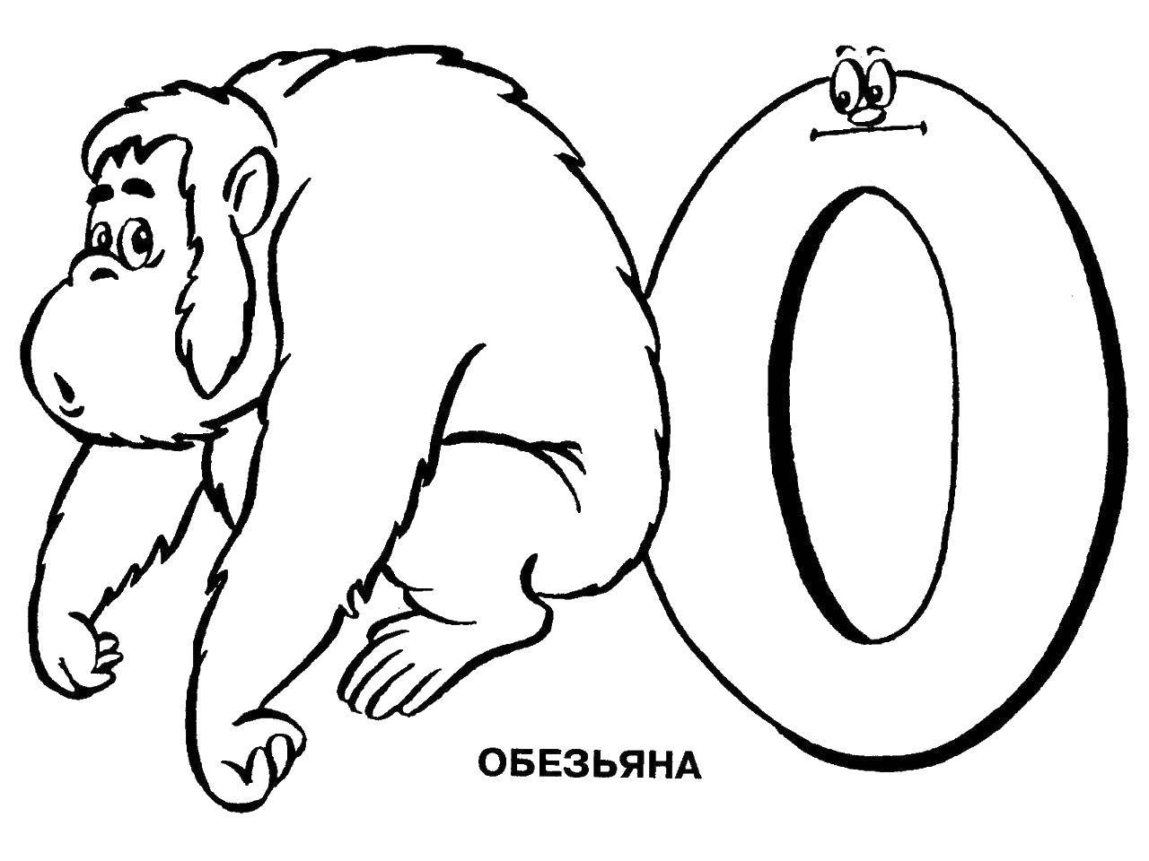 Coloring The letter o. Category the alphabet. Tags:  letter, monkey.
