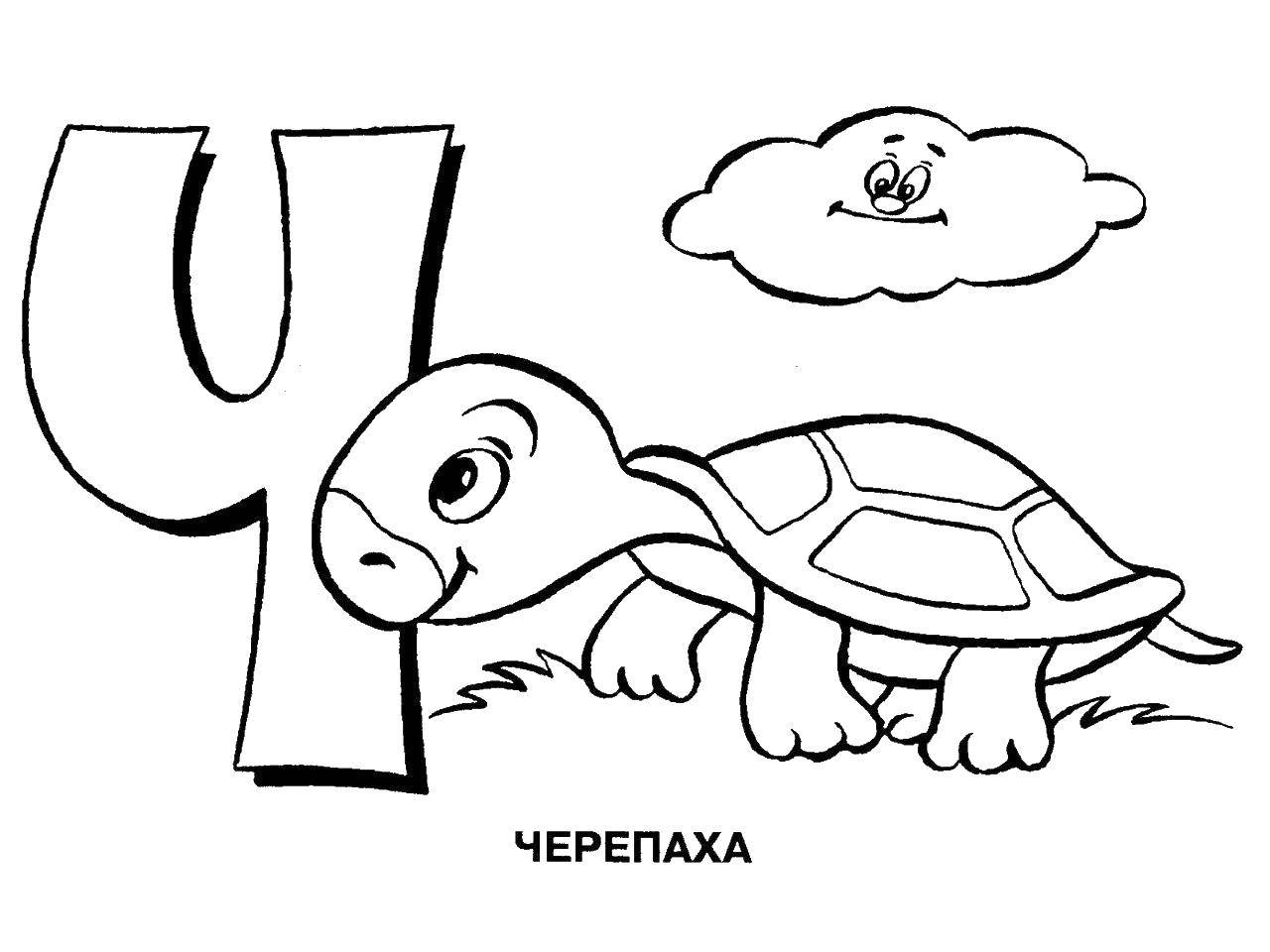 Название: Раскраска Черепаха на букву ч. Категория: алфавит. Теги: алфавит, черепаха.