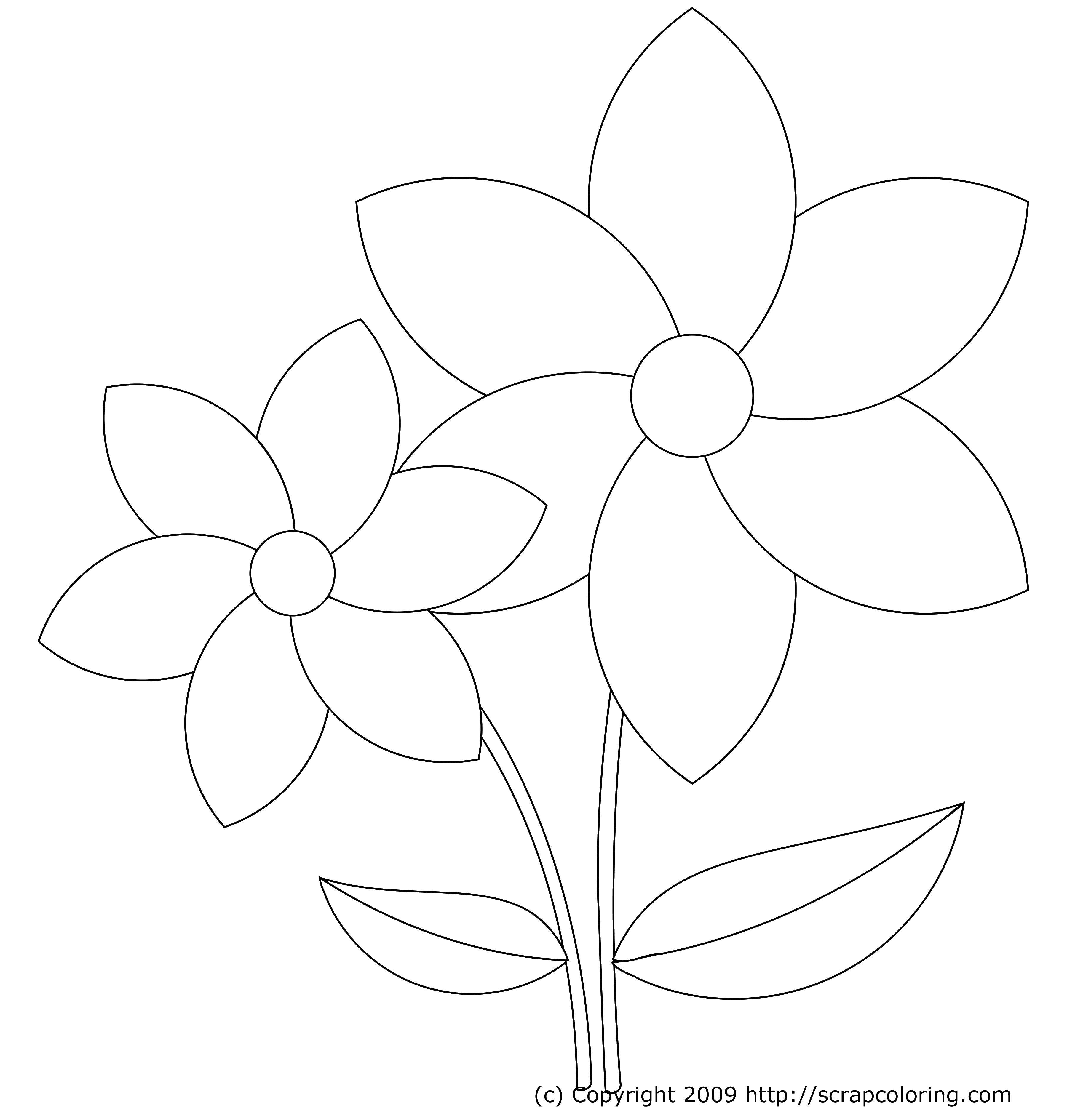 Coloring Two flowers. Category flowers. Tags:  the flowers , leaves, .