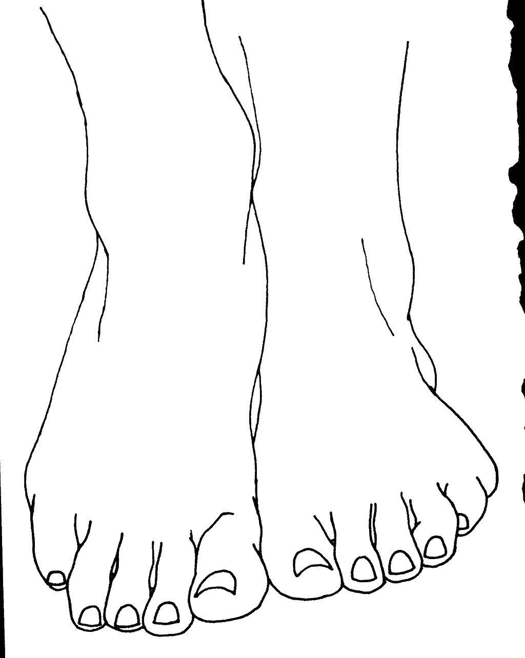 Название: Раскраска Две ноги. Категория: Люди. Теги: ноги.