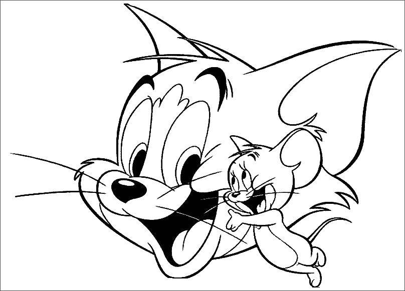 Coloring Jerry and Tom. Category Tom and Jerry. Tags:  Tom , Jerry, mouse, cat.