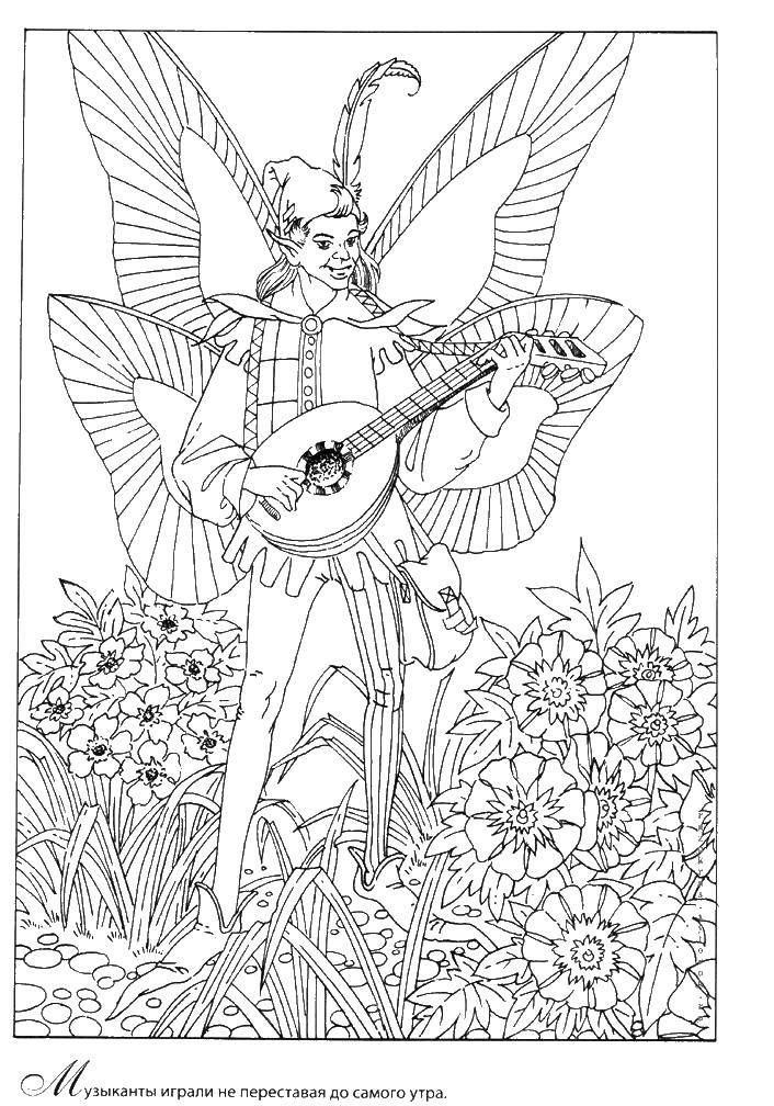 Coloring Elf musician. Category fairies. Tags:  fairies, elf.