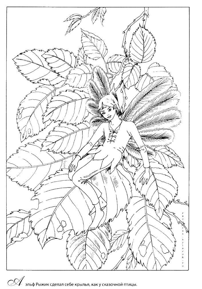 Coloring Elf on the leaves. Category Elves. Tags:  Elves.