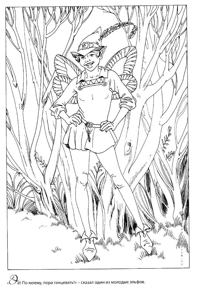 Coloring Elf. Category fairies. Tags:  fairies, elf.