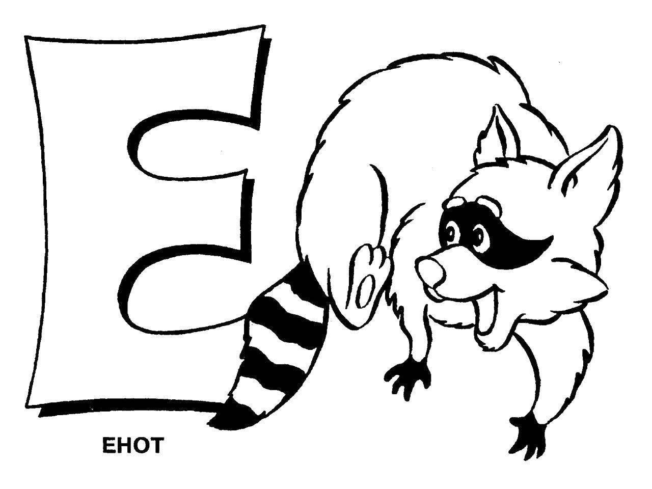 Coloring Raccoon on the letter e. Category the alphabet. Tags:  the alphabet, raccoon.