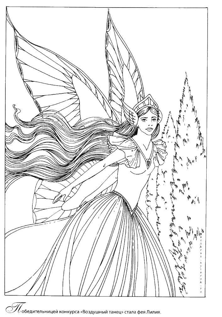 Coloring Fairy Lily. Category fairies. Tags:  fairies, Lily.