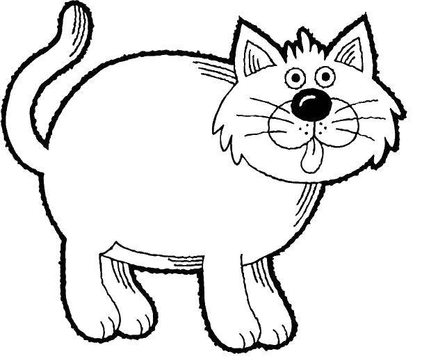 Название: Раскраска Кот с языком. Категория: котики. Теги: кот, хвост, язык.