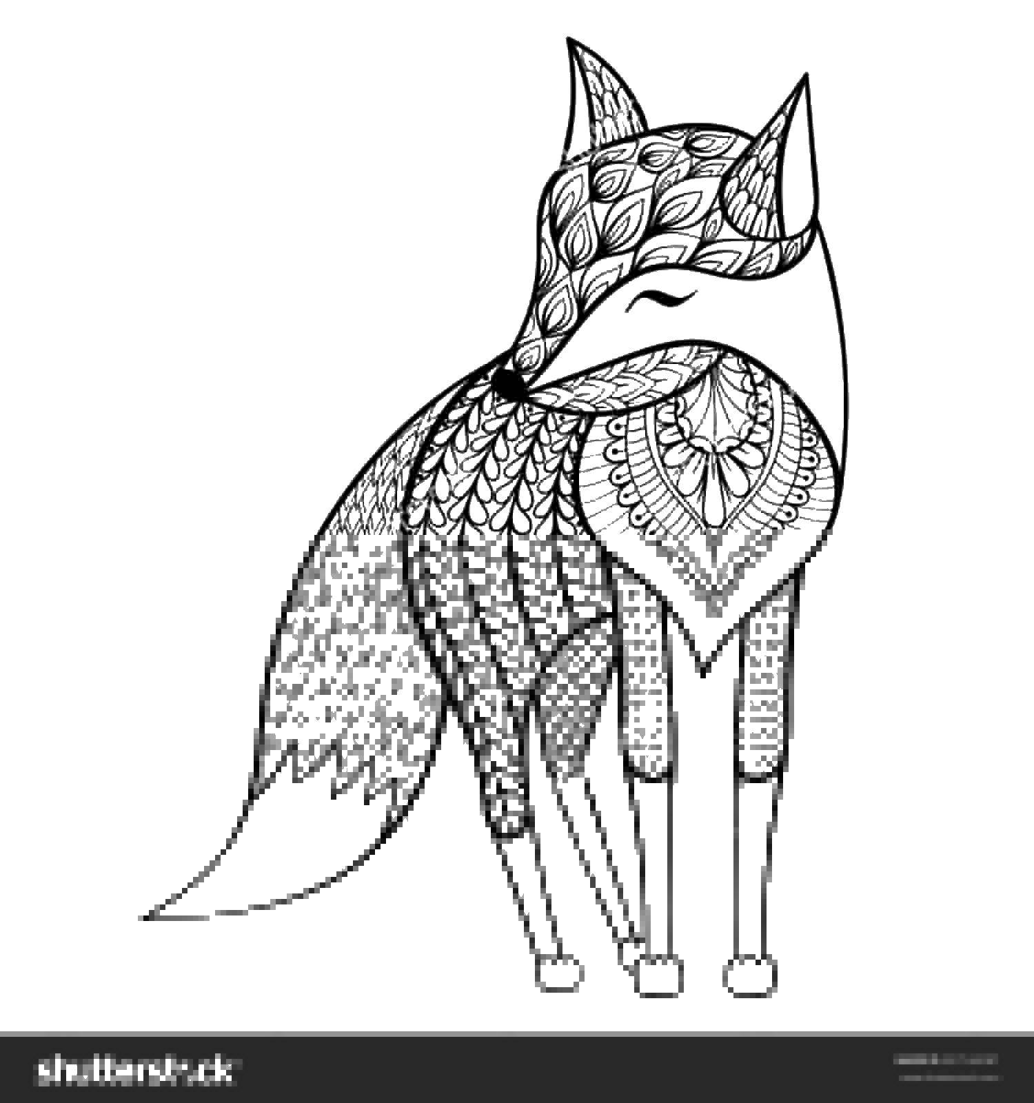 Coloring Fox in the patterns. Category Fox. Tags:  Fox, patterns, tail.
