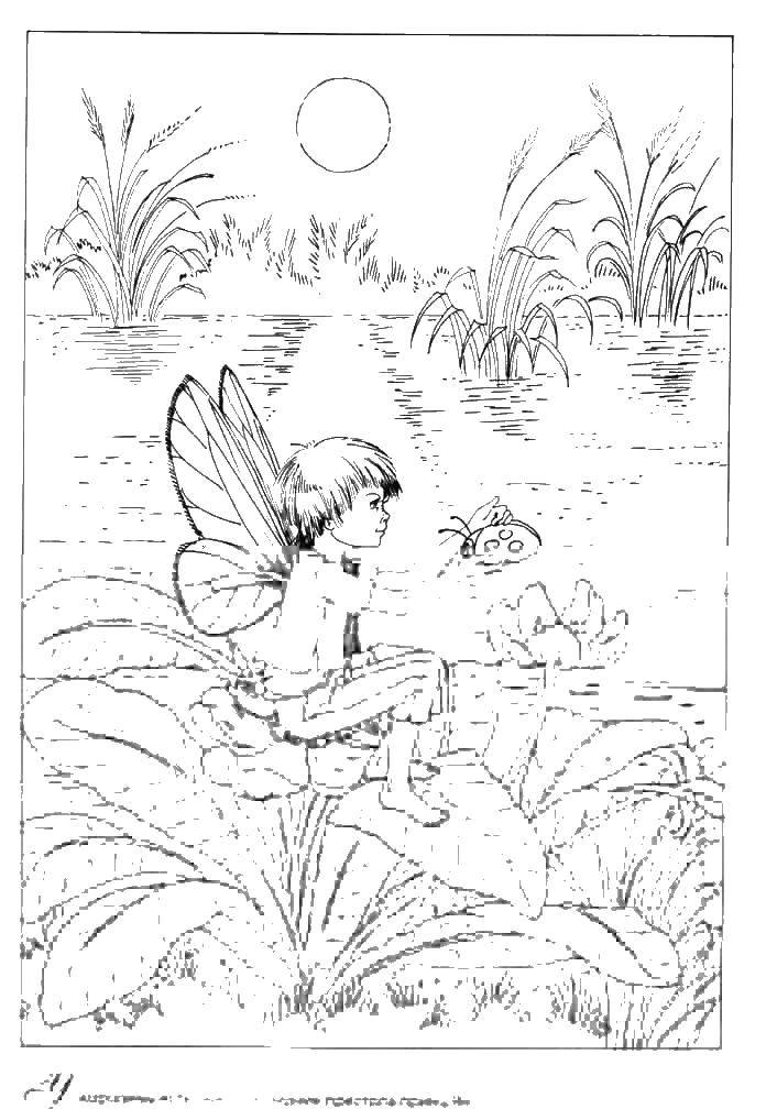 Название: Раскраска Мальчик с крыльями на озере. Категория: феи. Теги: мальчик, крылья, озеро, камыши.