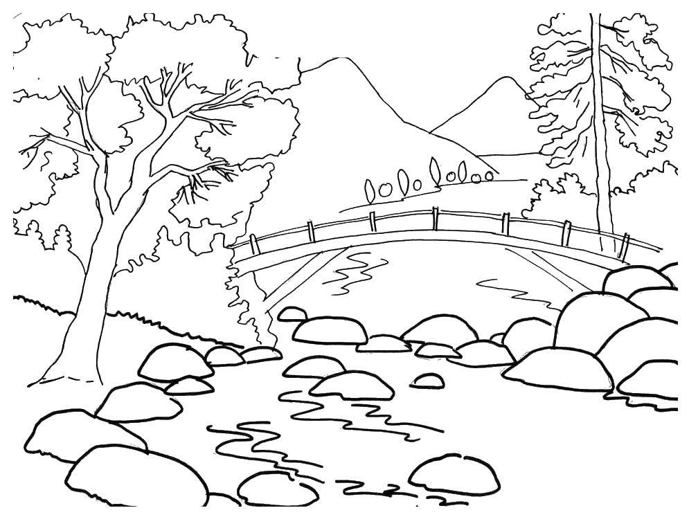 Название: Раскраска Мост и пруд. Категория: природа. Теги: мост, пруд, камни, деревья.