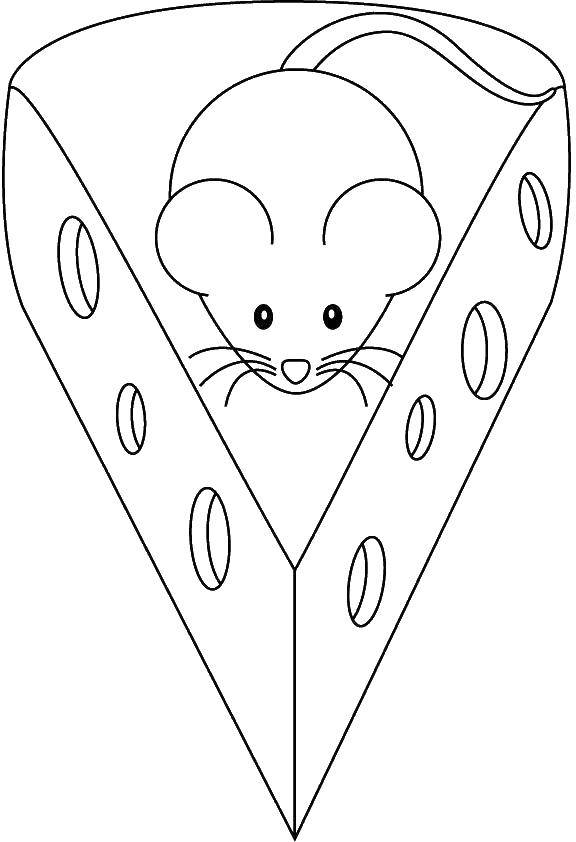 Coloring Mouse on cheese. Category Cheese. Tags:  mouse, cheese.