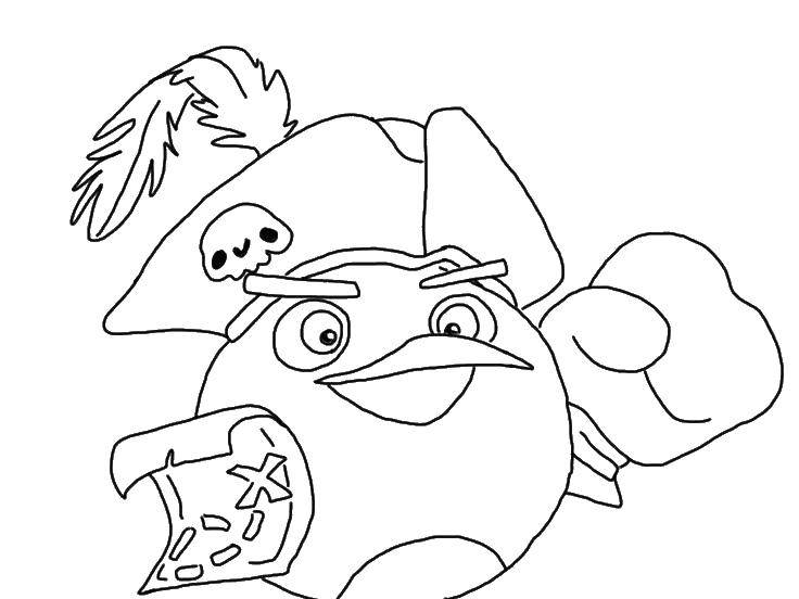 Coloring A bird in the pirate hat. Category angry birds. Tags:  bird hat, pirate, map.