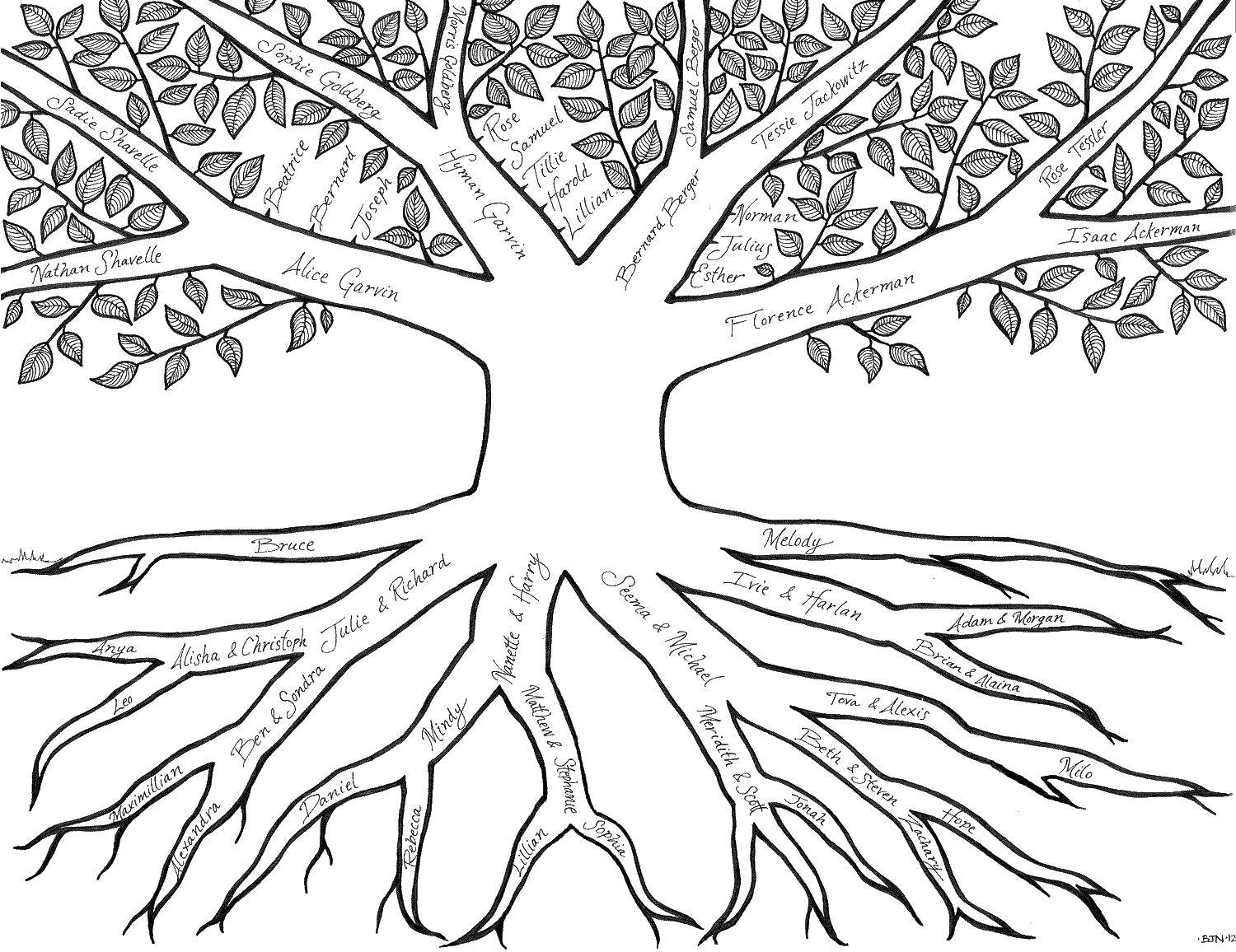 Название: Раскраска Семейное древо. Категория: Семейное дерево. Теги: дерево, семья, корни, ветки.