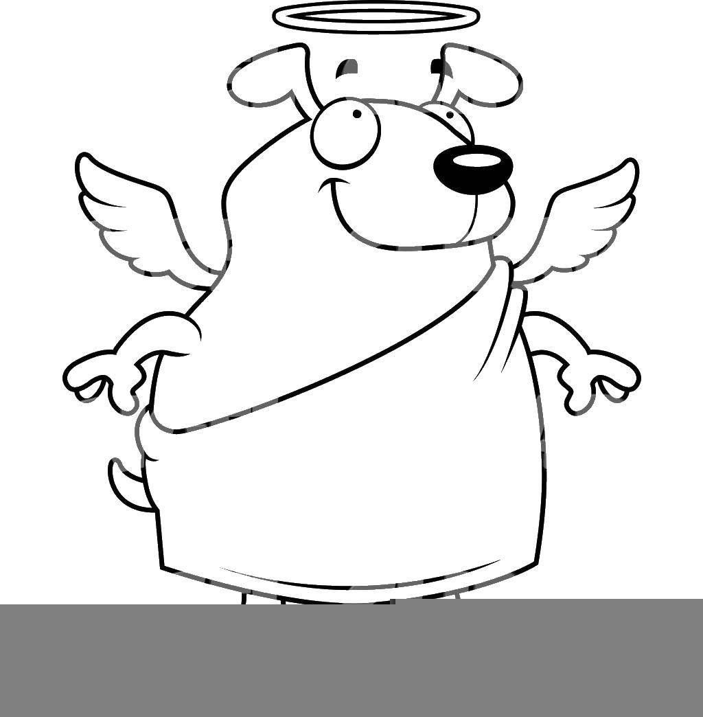 Coloring Dog angel. Category The contours of the angel to clip. Tags:  the dog, angel.