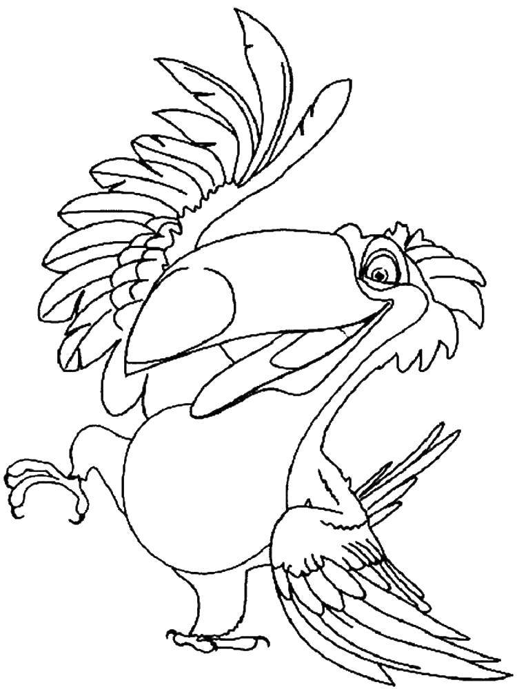 Название: Раскраска Тукан в рио. Категория: рио. Теги: тукан, рио, крылья.