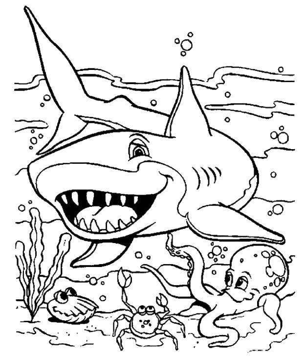 Coloring The shark and the jellyfish. Category Marine animals. Tags:  shark, jellyfish, crab.