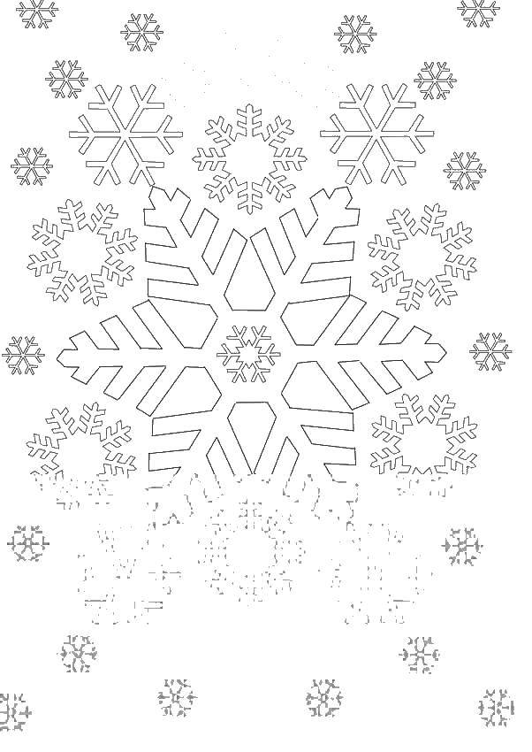Coloring Large and small snowflakes. Category coloring. Tags:  snowflake, snow.