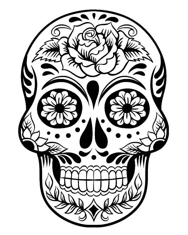 Название: Раскраска Череп и роза. Категория: Череп. Теги: череп, цветы, узоры.