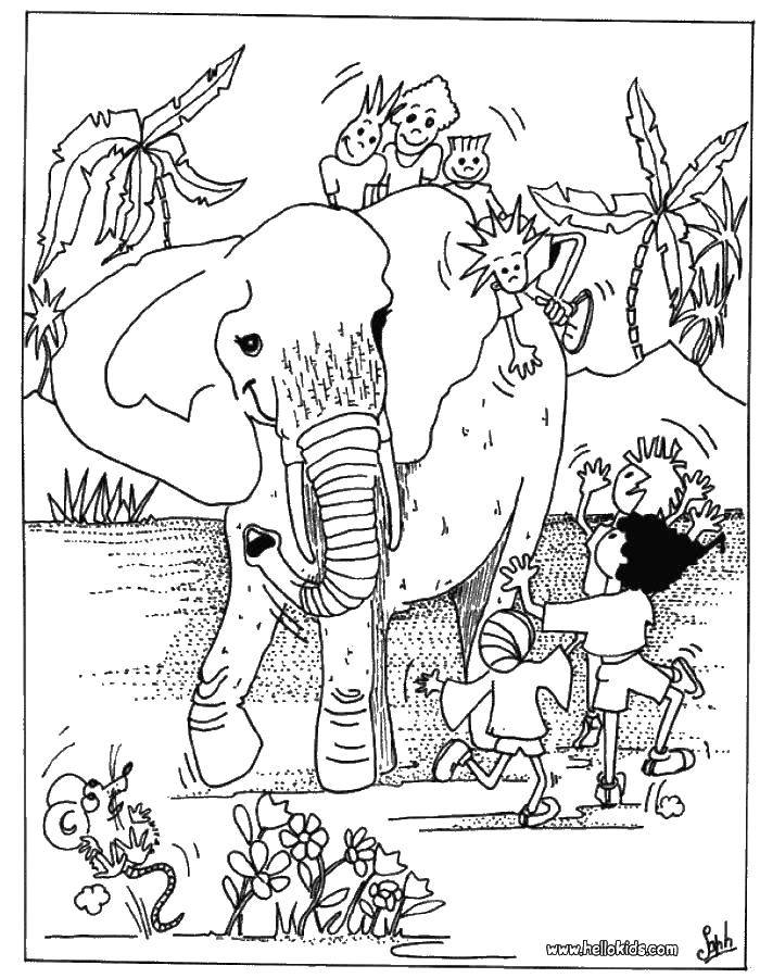 Coloring Kids love the elephant. Category coloring. Tags:  Animals, elephant.