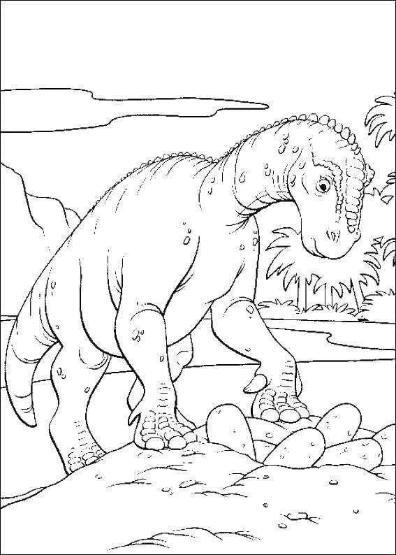 Название: Раскраска Динозавр и яйца. Категория: динозавр. Теги: динозавр, яйца.