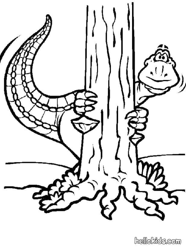 Название: Раскраска Динозавр за деревом. Категория: динозавр. Теги: динозавр, дерево.
