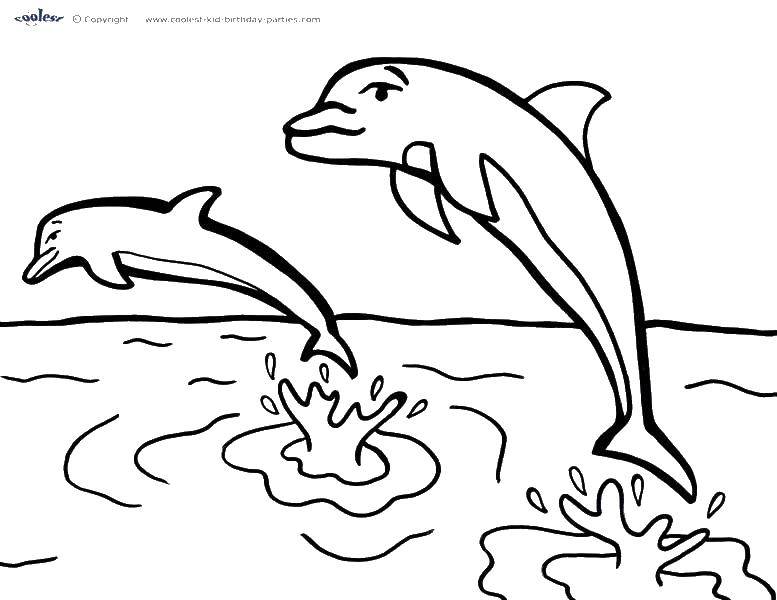 Coloring Two dolphins above water. Category Marine animals. Tags:  Dolphin, water, tail.