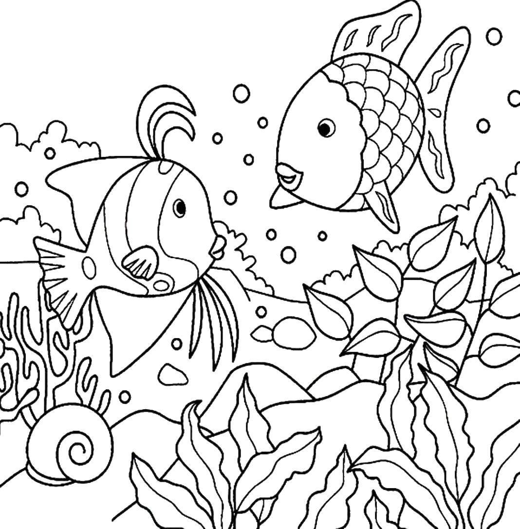 Название: Раскраска Две рыбы и улитка. Категория: Морские животные. Теги: рыбы, улитка, водоросли.