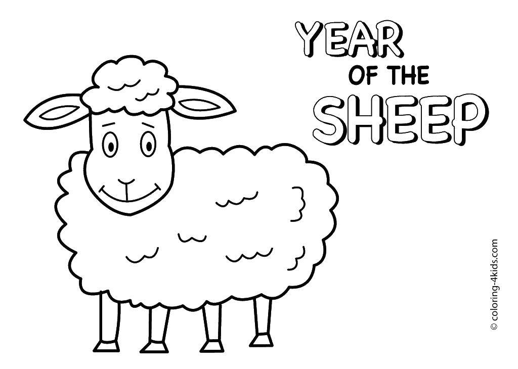 Название: Раскраска Год овцы. Категория: новый год. Теги: год, овца.