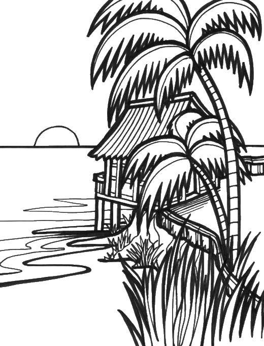 Coloring Hut on the shore. Category coloring. Tags:  hut, water, palm trees.