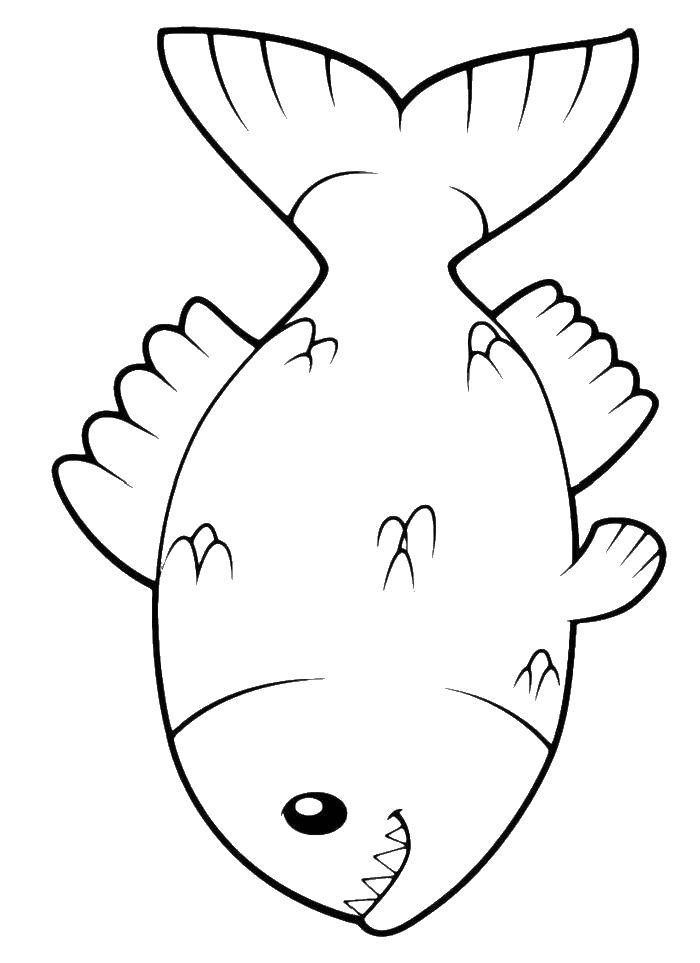 Название: Раскраска Камбала с клыками. Категория: рыбы. Теги: камбала, хвост, плавник.