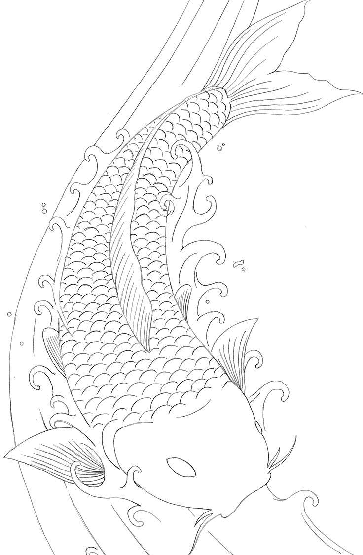Coloring Carp to the scales. Category coloring. Tags:  Underwater world, fish.