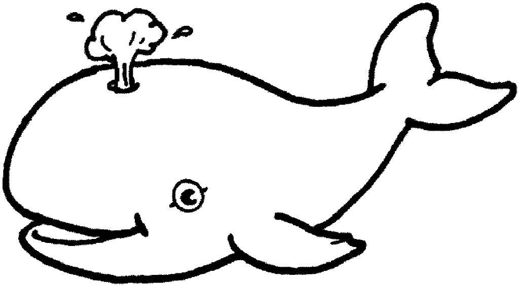 Coloring The whale and the water. Category Marine animals. Tags:  whale, water, tail.