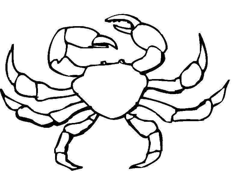 Coloring The crab with the claws. Category Crab. Tags:  Underwater world.