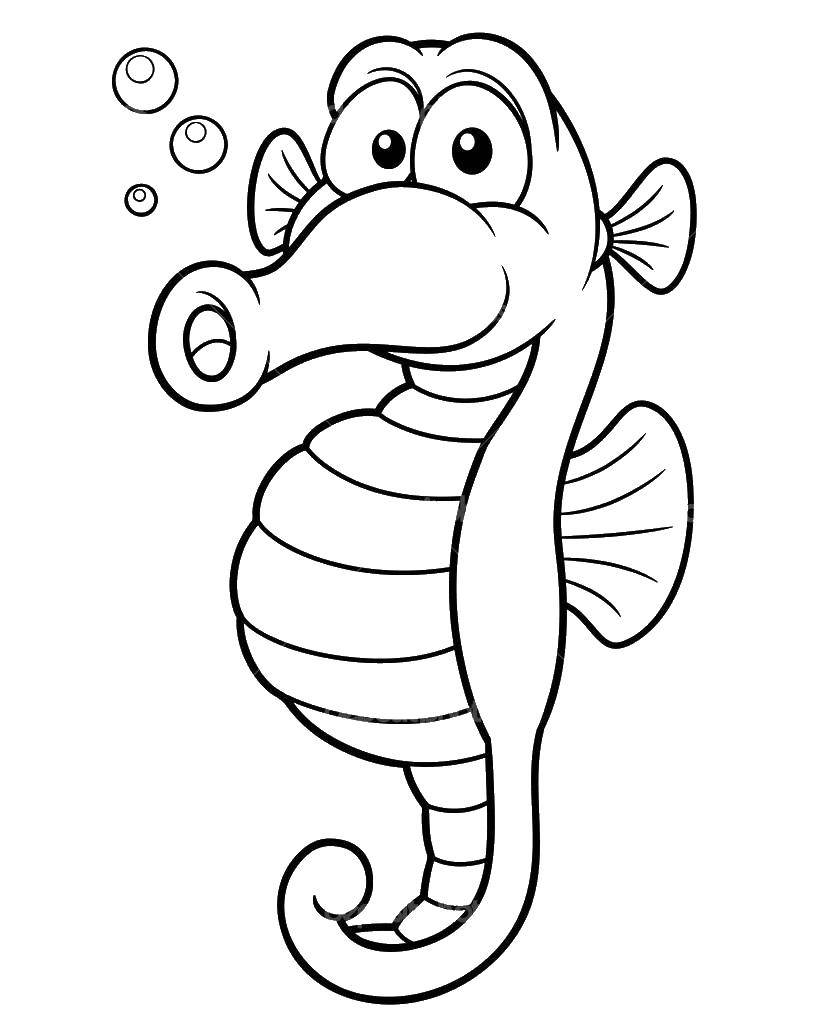 Название: Раскраска Морской конек и пузыри. Категория: морские обитатели. Теги: морской конек, водоросли, пузыри.