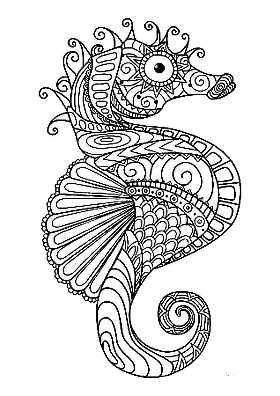 Название: Раскраска Морской конек и узоры. Категория: морской конек. Теги: морской конек, узоры, хвост.