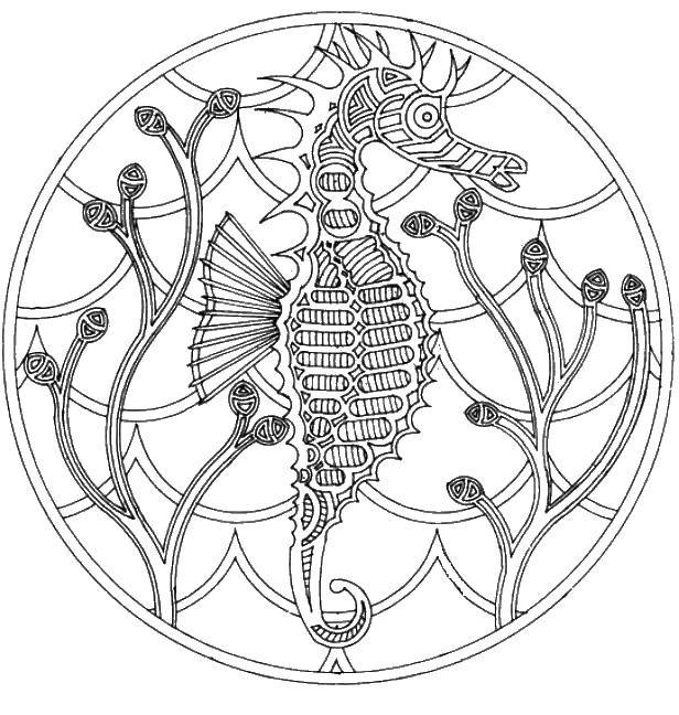 Название: Раскраска Морской конек в круге. Категория: раскраски. Теги: морской конек, круг, водоросли.