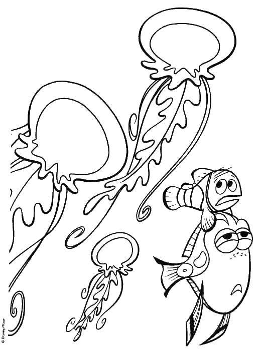 Название: Раскраска Опасные медузы. Категория: морское. Теги: Подводный мир, медуза.