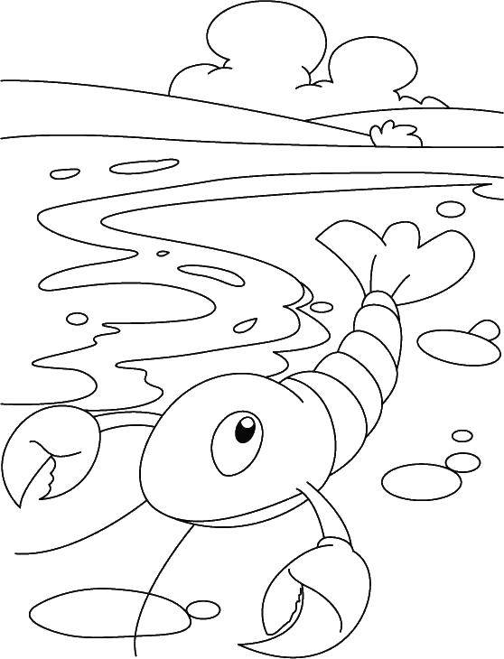 Пловец рисунок для детей