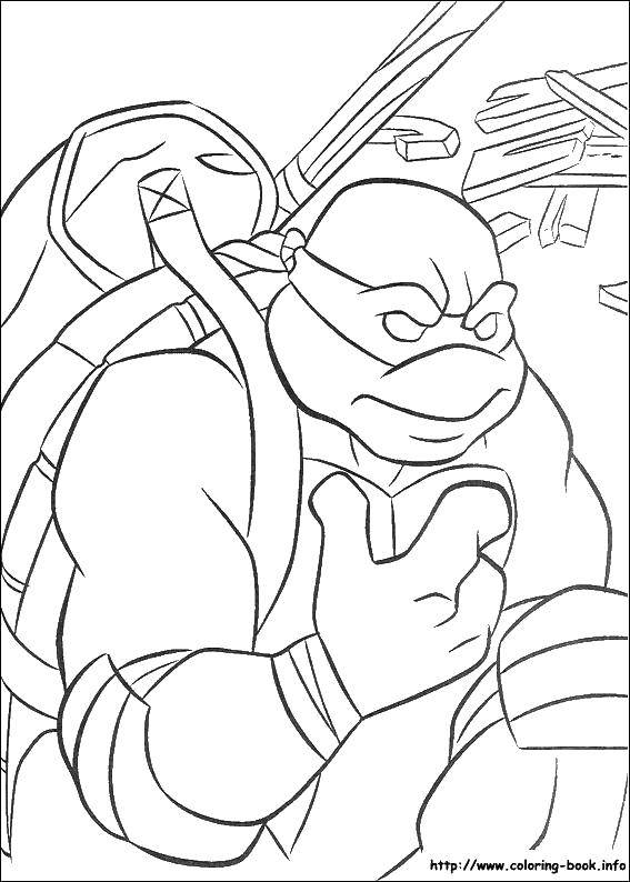 Coloring Rafael with a backpack. Category ninja . Tags:  turtles, ninjas, masks.