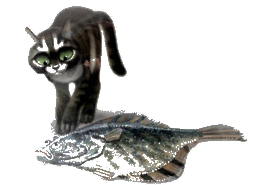 Название: Раскраска Рыба и кот. Категория: рыбы. Теги: рыба, кот, лапы.